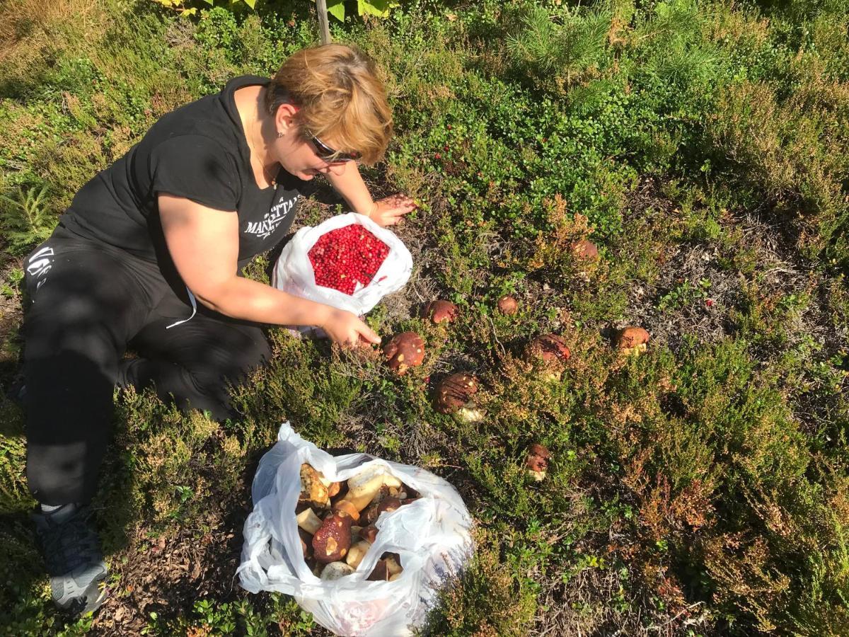 Tallbacken Fritidsby Brannan Zewnętrze zdjęcie